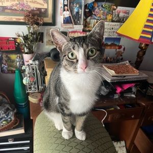 Meet your Posher, Ty